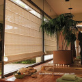 Smart Roman Shades